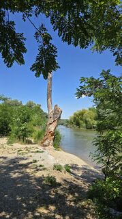 Photo de Róbert Bondárenkó le long du parcours