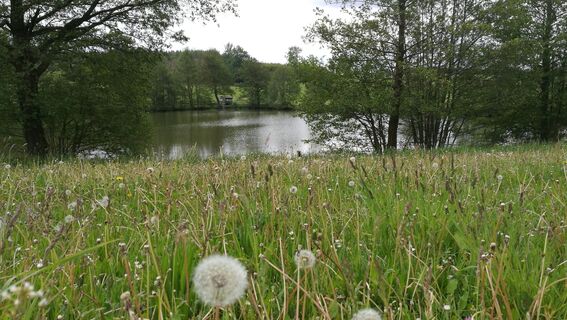 Von Seubtendorf zur Kiebitzenburg