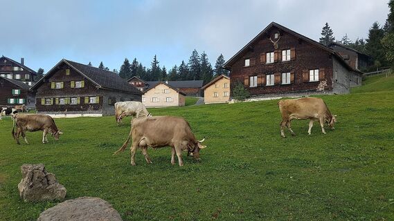 Auf dem Bödele