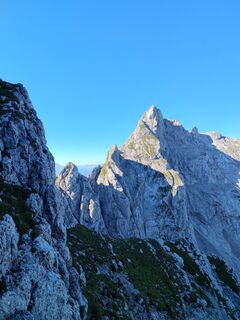 Foto von Bergkater entlang der Tour