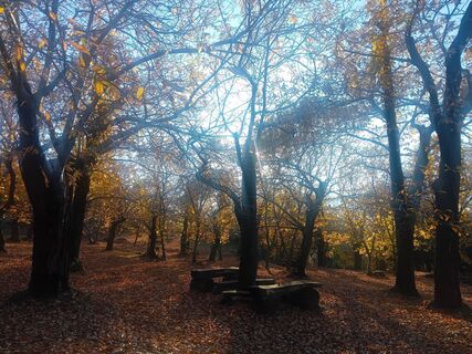 Foto von Altazar7 entlang der Tour