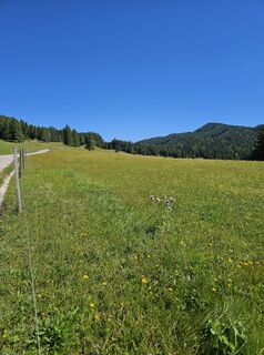 Foto von Elisabeth Wecer entlang der Tour