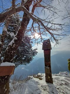 Photo de Angelika Poschinger-Reh le long du parcours