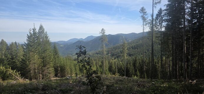Foto von Peter S 6 entlang der Tour
