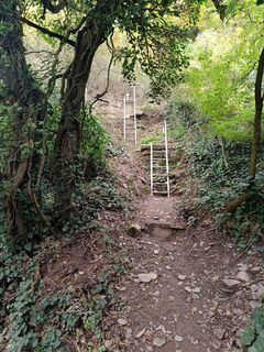 Zdjęcie z Edit Szoboszlay wzdłuż trasy