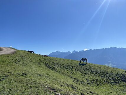 Photo de Henriette Zeltner le long du parcours