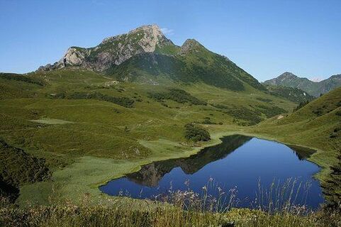 Zemljevid