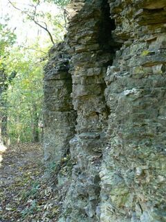 Rund um die Ruine Boyneburg tritt der Muschelkalk zutage
