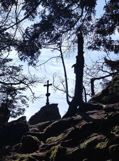 Foto von Norbert Hieringer entlang der Tour
