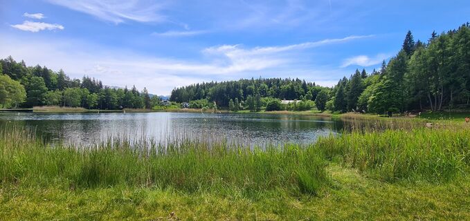 Photo de Laura Gasparotto le long du parcours