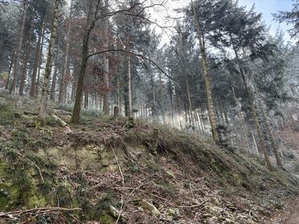 Fotografia z InesW na trase