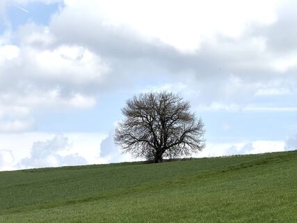 Foto van Norbert Herbig langs de tour