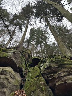 Foto von Andre Scherzer entlang der Tour