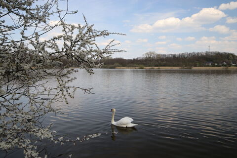 Norderteich Frühjahr