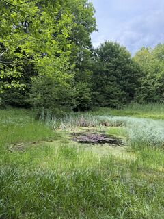 Photo de Astrid le long du parcours