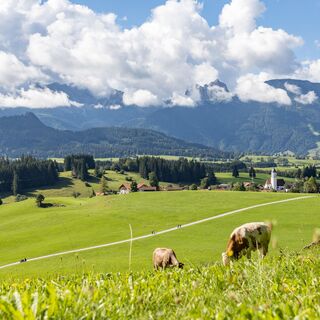 Blick auf Zell und den Breitenberg