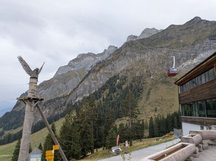 Fotografija s spletne strani Maurer Silvia na poti