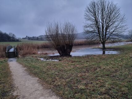 Zdjęcie z Felix wzdłuż trasy
