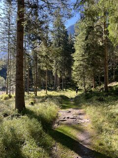 Fotografija s spletne strani Schääfchen na poti