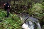 Wildbach Klosterwinkel