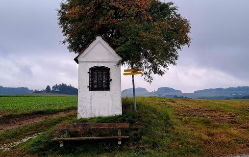 Lebensweg NÖ,  Etappe: Albrechtsberg>Sallingberg