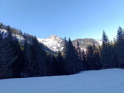 Foto från rotbaeder under resans gång