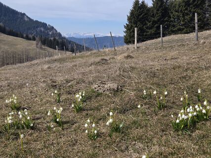 Foto von Birgit Zückert entlang der Tour
