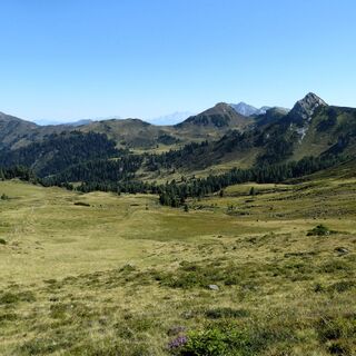 Der Rückblick von der Filzmooshöhe Richtung Filzmoosalm.
