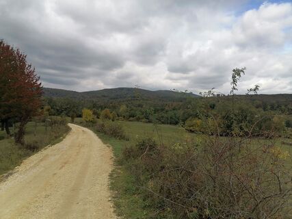 Photo de Varga Tamás le long du parcours