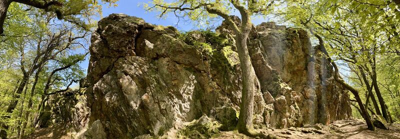 Foto da Arthur Muskalla lungo il tour