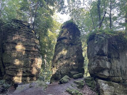 Foto von Gloop entlang der Tour