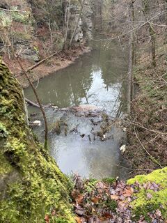 Foto von Andre Scherzer entlang der Tour