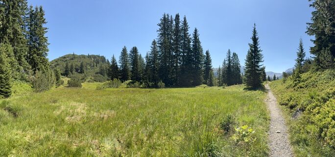 Foto von Florian Meyer 1 entlang der Tour