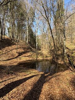 Foto von Roland Schwab entlang der Tour
