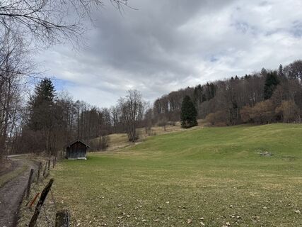 Foto von Denise Miller entlang der Tour