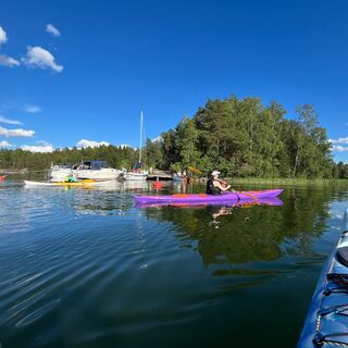 Hännyssaari, Hollola