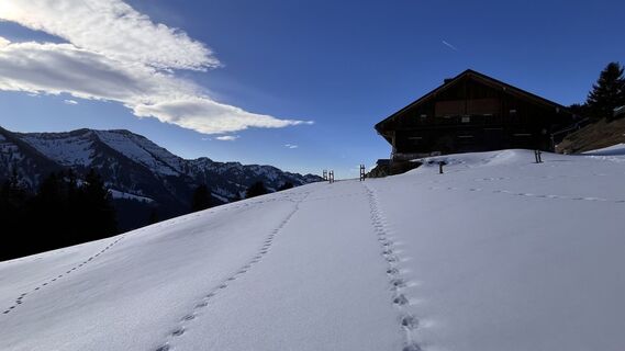 Fotografia z Erich Graf 2 na trase