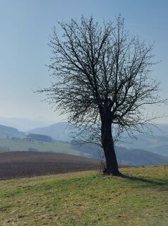 Zdjęcie z Thomas Walzl wzdłuż trasy