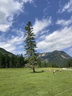 Photo de Robert.Unterlercher le long du parcours