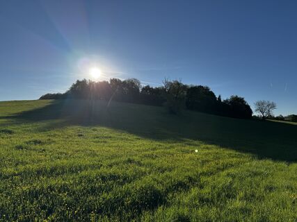 Photo de Schaali le long du parcours