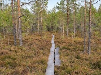 Stege am Joutsijärvi