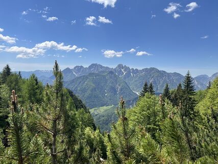 Photo de Miczur le long du parcours