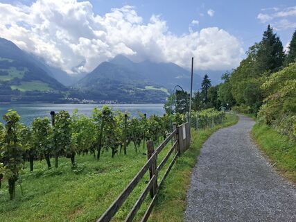 Photo de Michael Putz le long du parcours