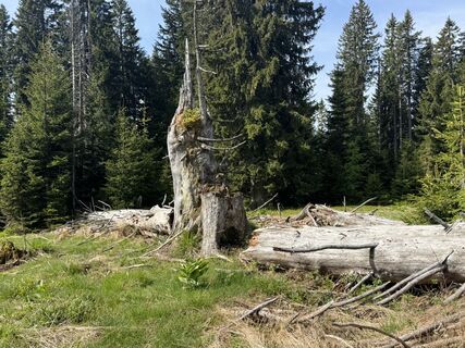 Zdjęcie z Matthias Rath wzdłuż trasy