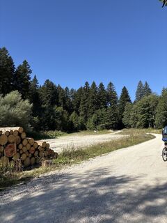 Fotografia z Heinz Sperl na trase