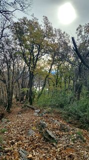 Foto von Francesca Semeraro entlang der Tour