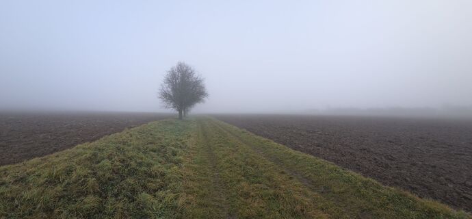 Foto von Stefan17 entlang der Tour