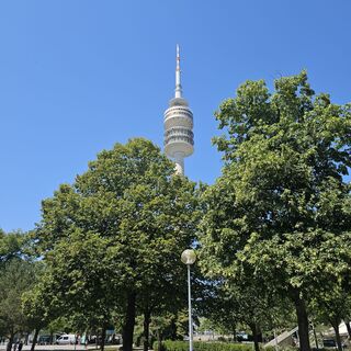 Zdjęcie z veronic26 wzdłuż trasy