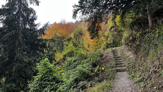 Foto från Pezzotta under resans gång