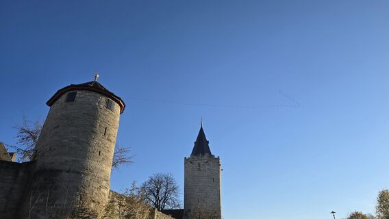 Foto von Katja Senkel entlang der Tour